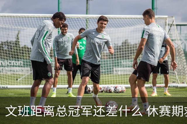 文班距离总冠军还差什么 休赛期救赎从增重开始？
